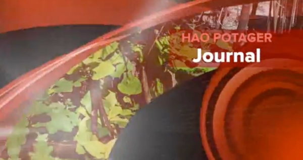 Les élèves de SP/SM de Hao durant la SDN