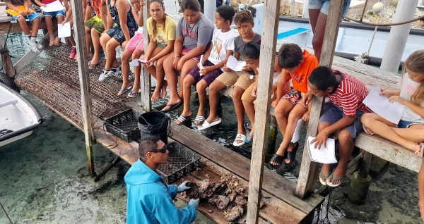 Visite d'une ferme perlière à Makemo