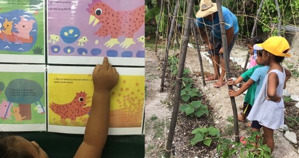 Les élèves de SP/SM de Tiputa parlent de leur expérience de la germination dans un livre numérique